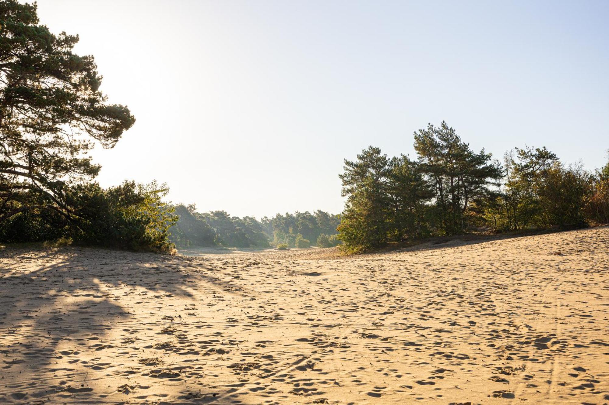 Doornspijk Vakantiehuis Veluws Genieten Met Whirlpool En Sauna מראה חיצוני תמונה